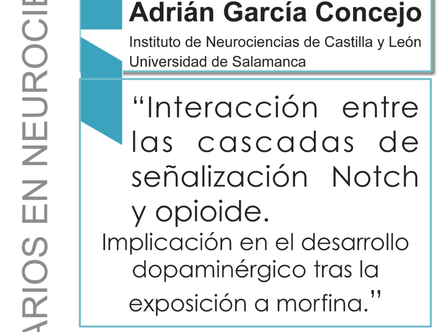 Seminarios Neurociencias 2017: Adrián García Concejo, 3 de marzo