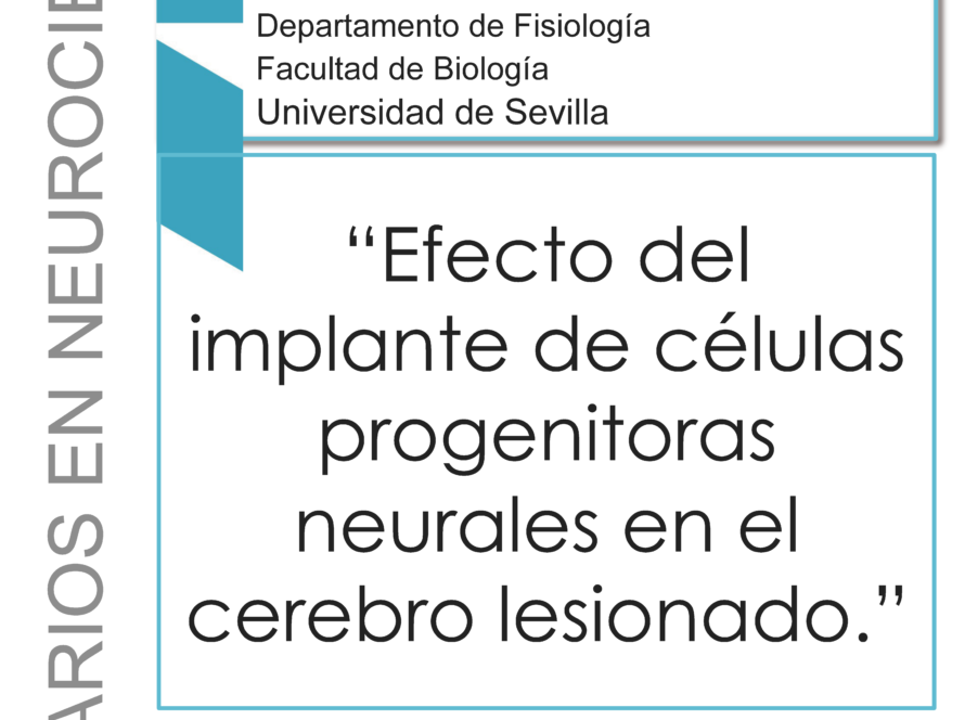 Seminarios Neurociencias 2017: Esperanza Rodríguez Matarredona, 2 de junio