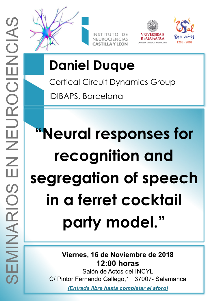 Seminarios Neurociencias 2018: Daniel Duque, 16 de noviembre
