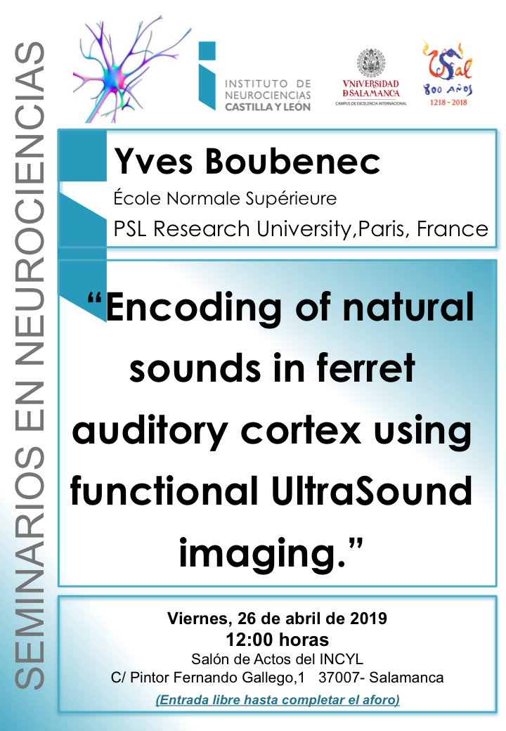 Seminarios Neurociencias 2019: Yves Boubenec, 26 de abril