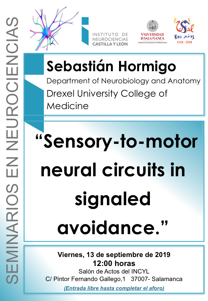 Seminarios Neurociencias 2019: Sebastián Hormigo, 13 de septiembre
