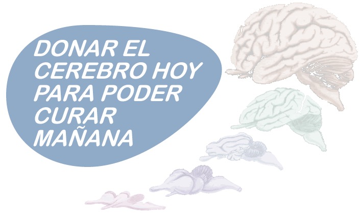 Instituto de Neurociencias: Donar el cerebro hoy para poder curar mañana