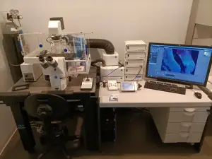 microscopio de célula viva zeiss