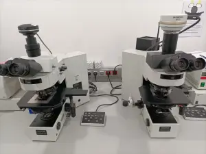 microscopio olympus